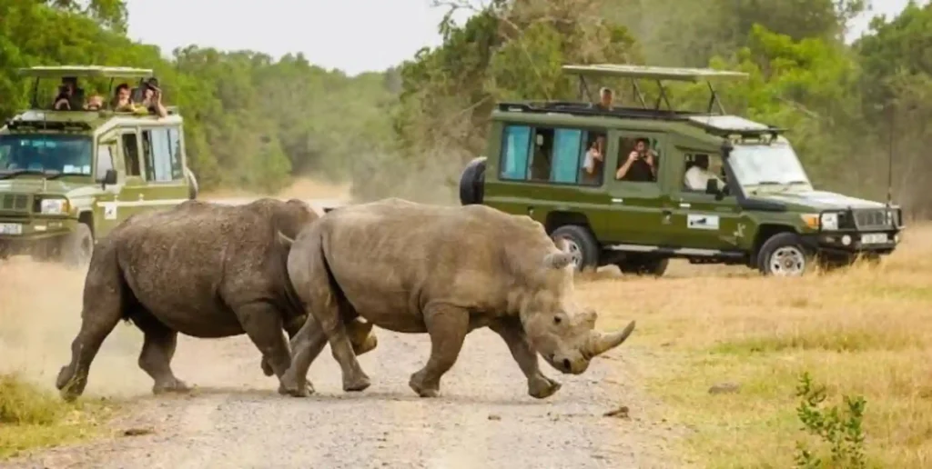 10 Days Kenyan Bush Safari: Complete Kenya Safari Itinerary